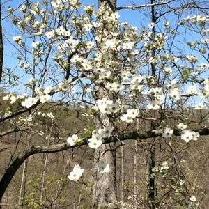 Meet your Posher, Venita